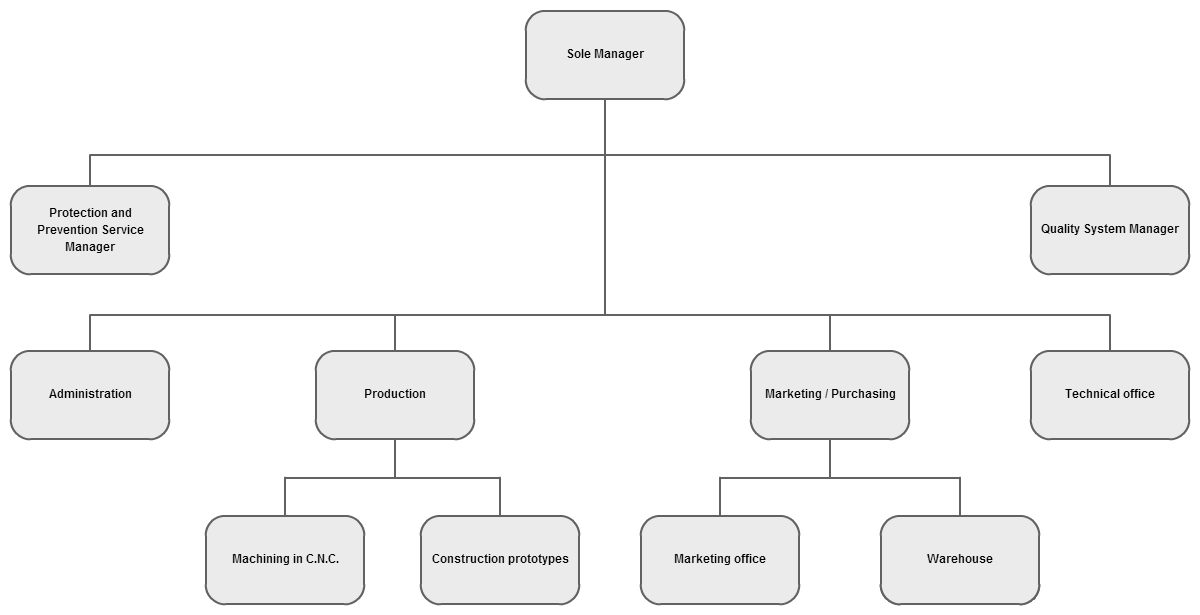 Libertone srl organizational chart